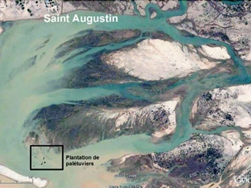 Reforestation à Madagascar : la mangrove de Saint-Augustin le 6 avril 2012