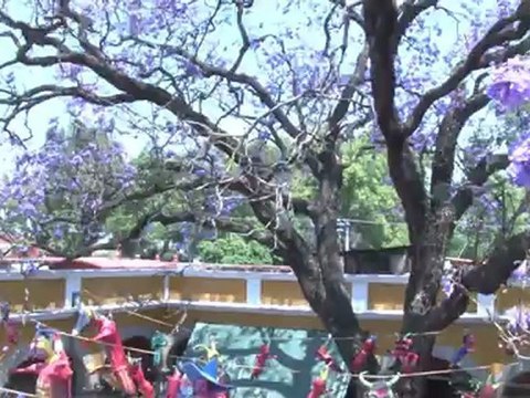 Gastronomía Mexicana - México -Fonda San Angel