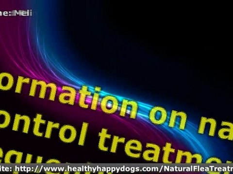 Discover the Best Natural Dog Flea and Tick Control