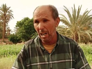 Maroc: l'oasis d'Errachidia menacée par la surexploitation d'eau