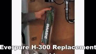Best Buy Everpure H-300 Replacement Cartridge