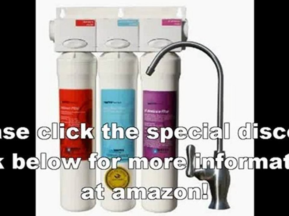 Best Watts Premier 531130 Filter-Pure UF-3 3-Stage Water Filtration System