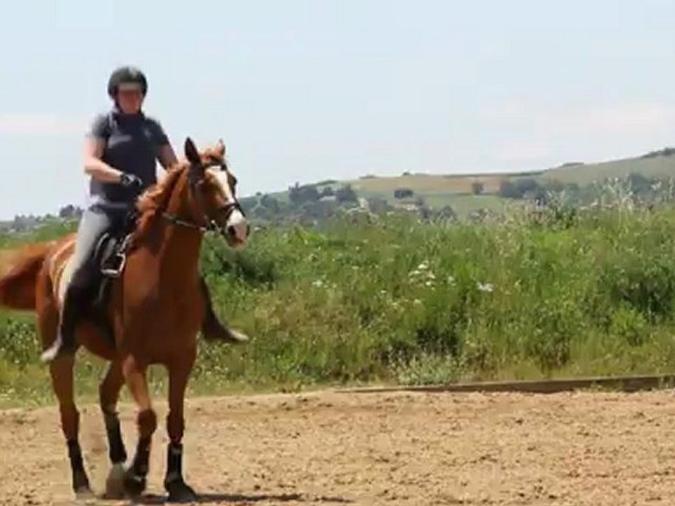 trot