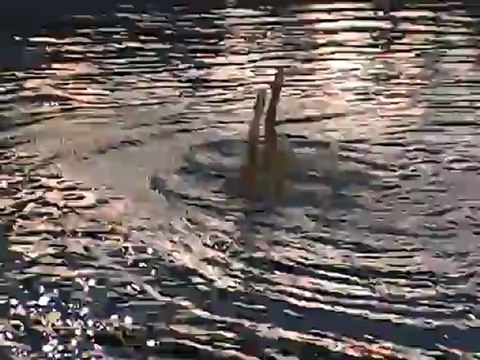 2012 France Espoirs National - Duo - Strasbourg