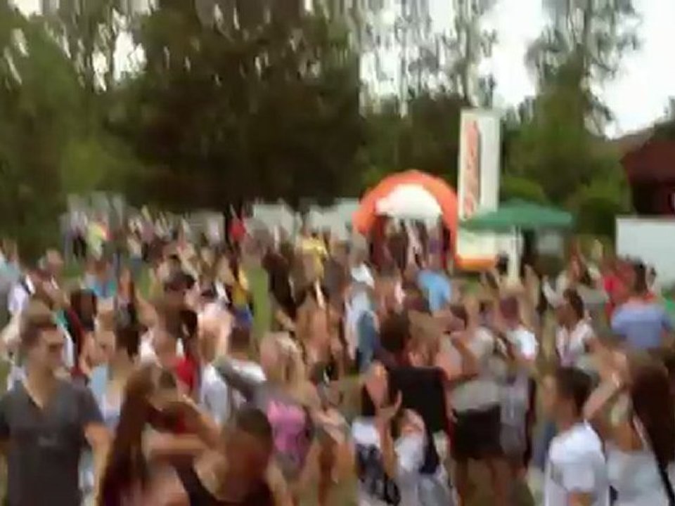 SIS @ Synchro Open Air