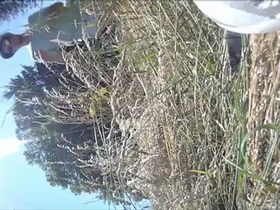 Crash easy glider
