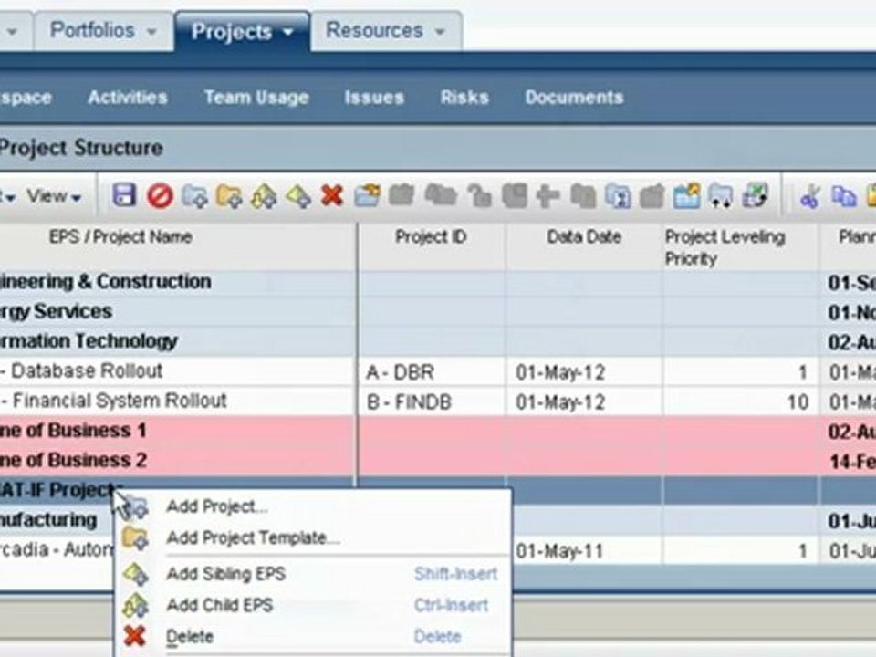 Primavera P6 EPPM Resource Leveling