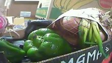 Scandale du gaspillage alimentaire