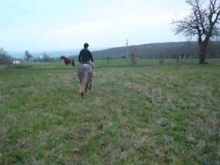 Essai de Rikita décembre 2009: au pas (2)