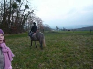 Essai de Rikita décembre 2009: au galop (2)