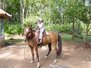 Anna - Cheval (Tequilla) - 19 juin 2011 - 1/3