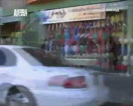 127-Переводчик с собачьего 2010