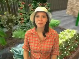 Birdbath Single Cattail Bird Bath Review