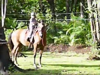 Anna - Cheval (Tequilla) - 19 juin 2011 - 2/3