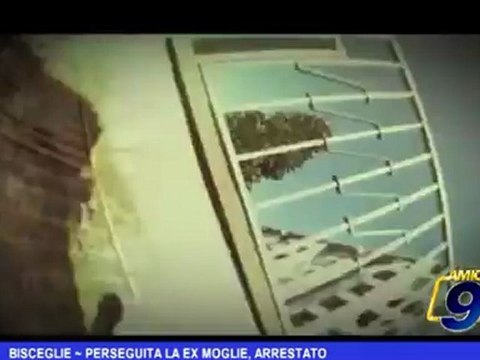 Bisceglie | Perseguita la ex moglie, arrestato