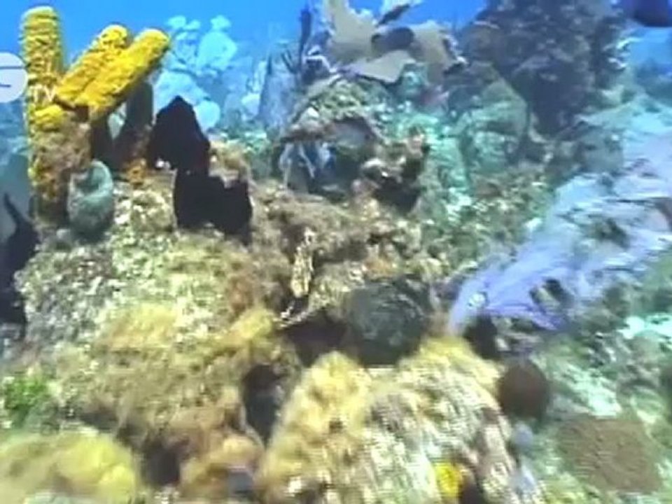 Google Earth dives into the oceans at Rio+20