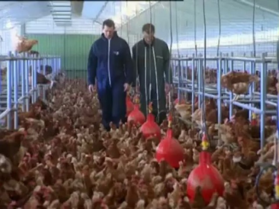 Les dessous des produits frais