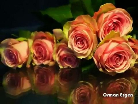 Ayşegül Durukan-Ne olursun güzelim