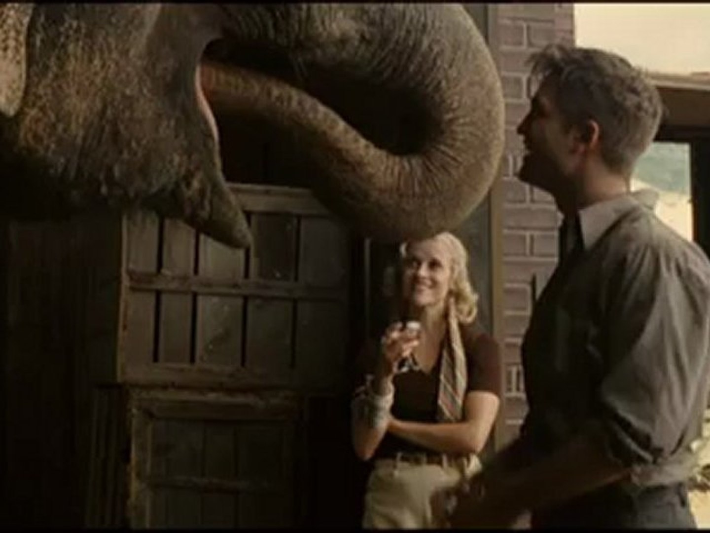 ⁣The Way Elephants Flirt