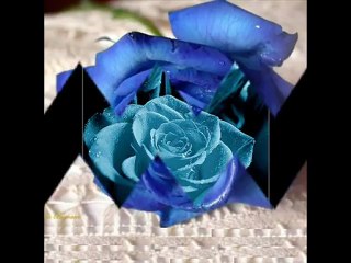 Ben seni yasaklarda sevdim