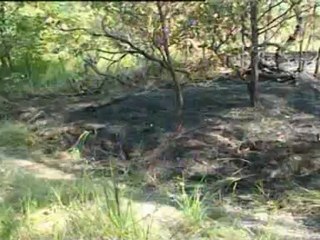 misterioso incendio sui colli