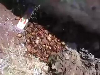 Syria فري برس حلب بيانون  انقطاع التيرار الكهربائي من عشرة ايام19 6 2012 Aleppo