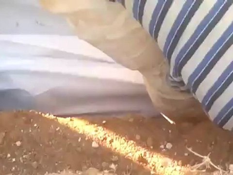 Syria فري برس حماه المحتلة دفن الشهيد ايمن سعيد شعبان حماة حي جنوب الملعب 19 6 2012 Hama