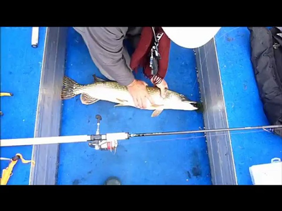 les gros brochets du lac de la forêt d'Orient 2012