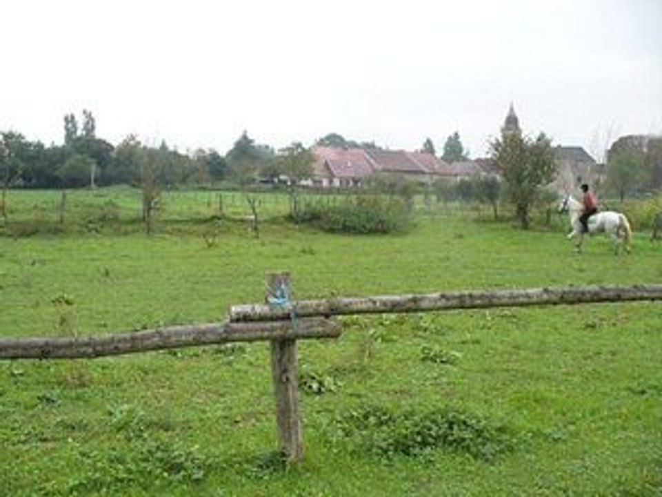 Comète et moi en saut