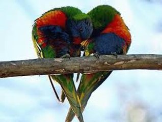 masaj salonu masoz kadıköy istanbul anadolu  masaj salonlar