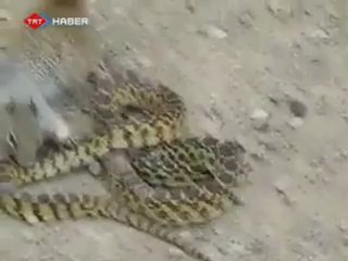 Sincap fare kavgası