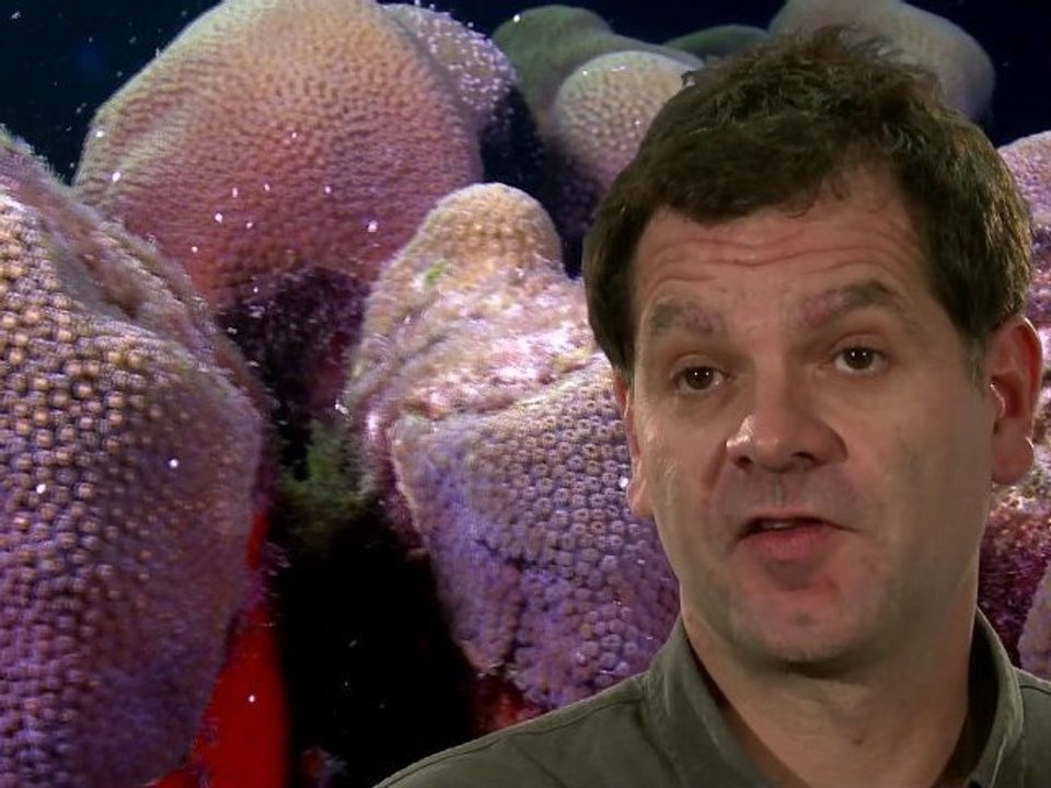 Paroles d'aires marines : Franck MAZEAS