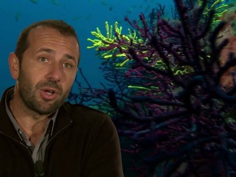 Paroles d'aires marines : Jean-Michel CULIOLI