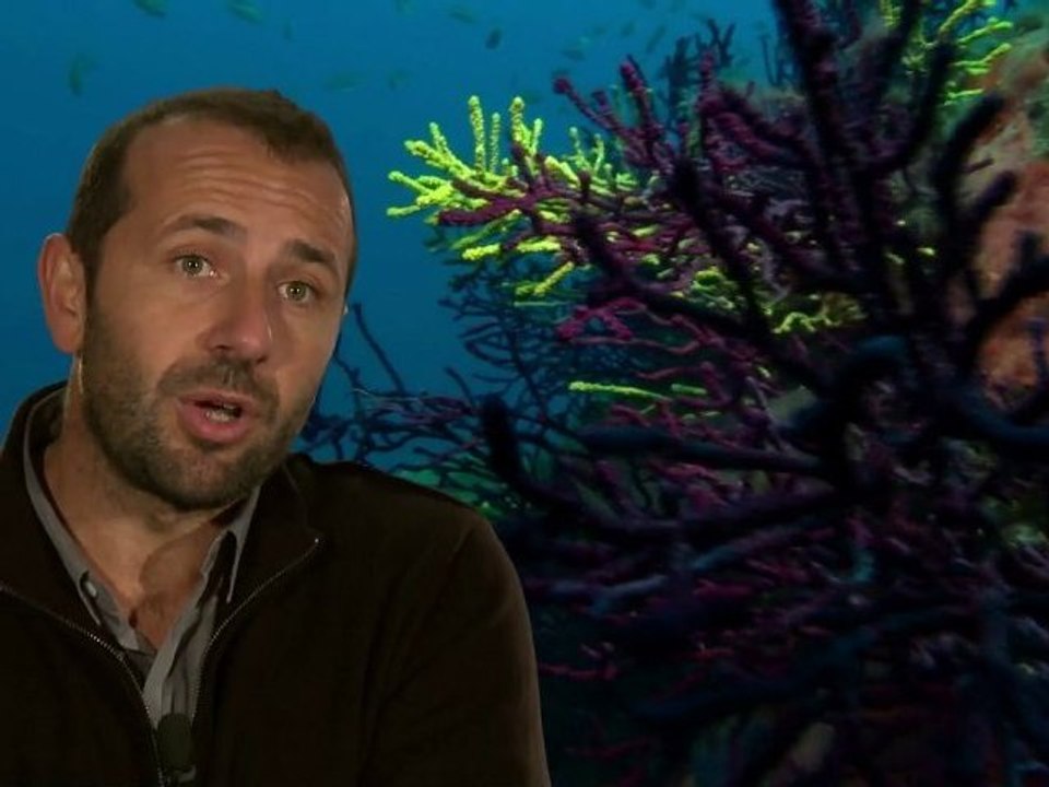 Paroles d'aires marines : Jean-Michel CULIOLI