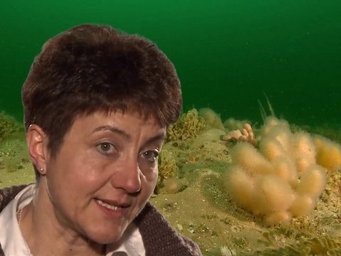 Paroles d'aires marines : Marie-Dominique MONBRUN