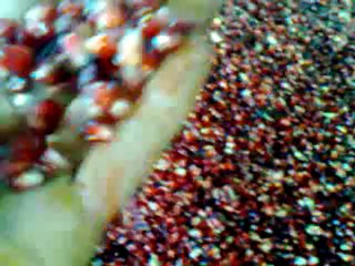 nar taneleme ve işleme makinası