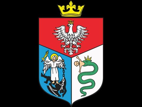 EKRAN LED SANOK, MICKIEWICZA TEL.782 666 777