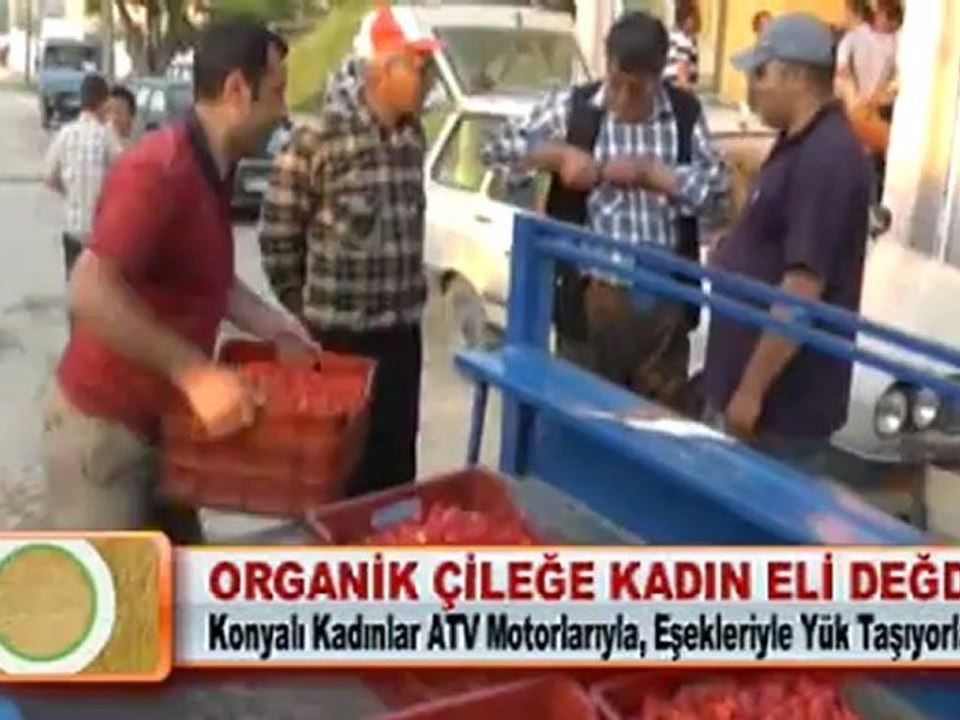 ORGANİK ÇİLEĞE KADIN ELİ DEĞDİ