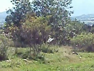 Białka Tarzańska - the village and pretty valley within polish Tatry (2011 - the summer)