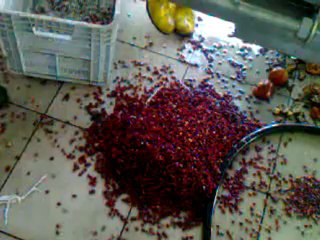 nar taneleme makinası