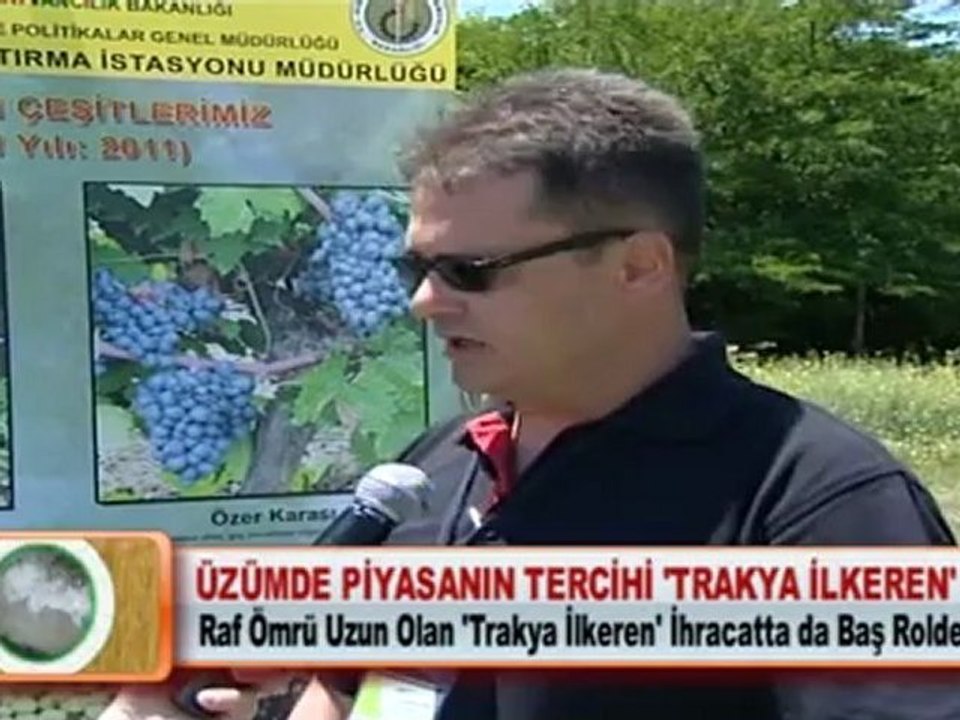 ÜZÜMDE PİYASANIN TERCİHİ ‘TRAKYA İLKEREN’