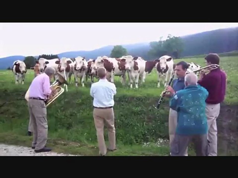 Jazz