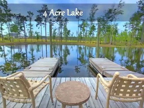 1195 Palmetto Creek Way, Bolivia, NC