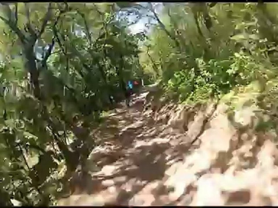 VTT rando JARRIE