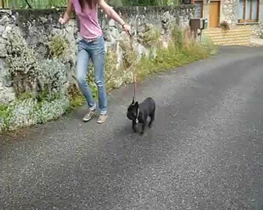 Gi'King 20 juin 2012 Entraînement P1040046