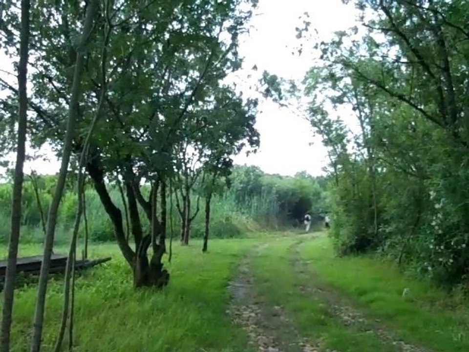 Cabane du château Sociando