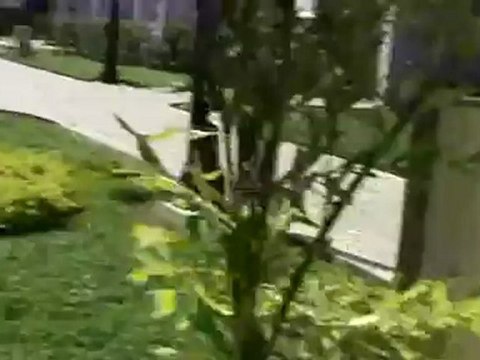 Jameika RIU Palace Tropical Bay Fitnesscenter Sport Strandhotel Training