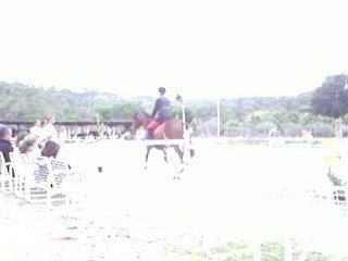 Concours de dressage