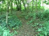 Macabres découvertes au Vincennes Bois de Vincennes restes humains avec un second tronc humain découvert jambes