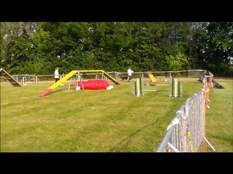 concours agility Claude et Eliot st brieuc